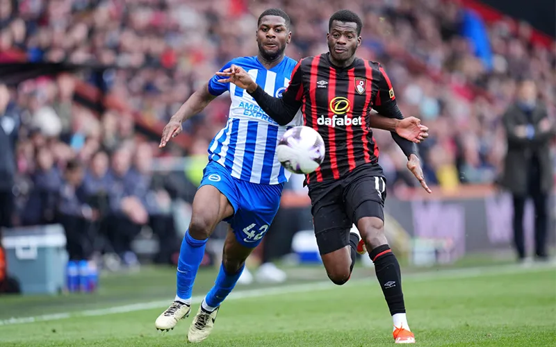 Nhận định Brighton vs Bournemouth 02h30 ngày 26/02/2025