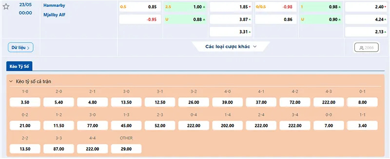 Tỷ lệ kèo Hammarby vs Mjallby hôm nay 00h00 ngày 23/5/2025