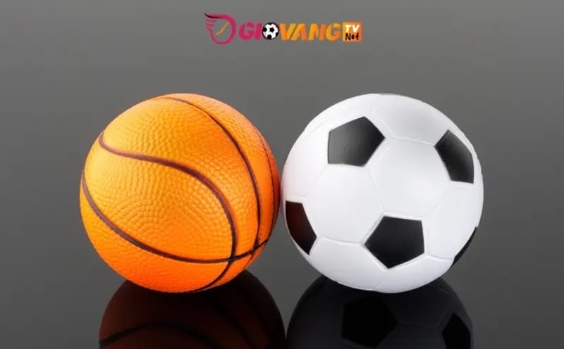 Các bộ môn thể thao áp dụng tỷ lệ cược HK