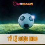 Tỷ lệ cược Indo là gì? Bắt kèo Indo đỉnh như cao thủ Giovang