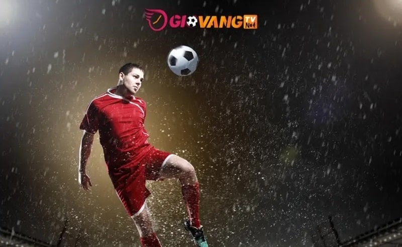 Khám phá thông tin về tỷ lệ cược Indo trong bóng đá